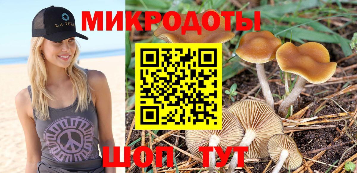 Галлюциногенные грибы Psilocybe Нижний Новгород