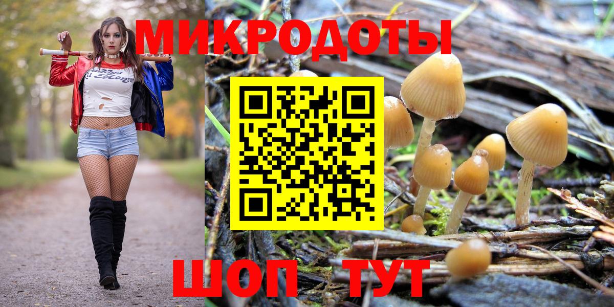 Псилоцибиновые грибы Magic Shrooms  Вход с VPN  Нижний Новгород 